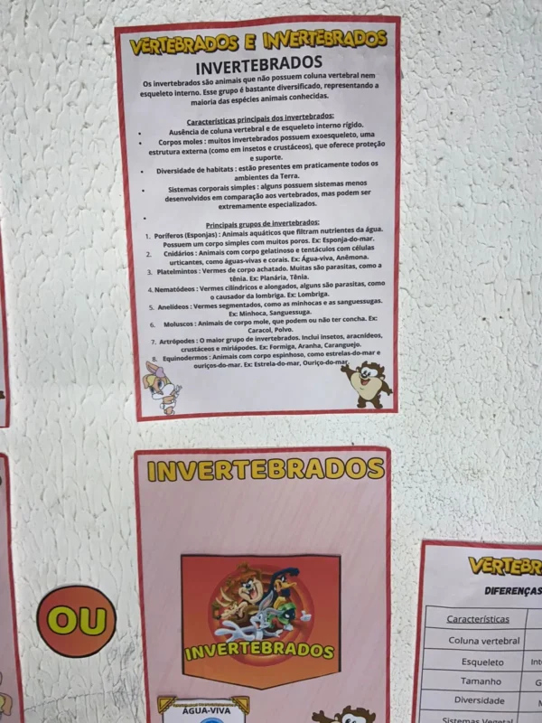 Os Vertebrados e Invertebrados - Image 3